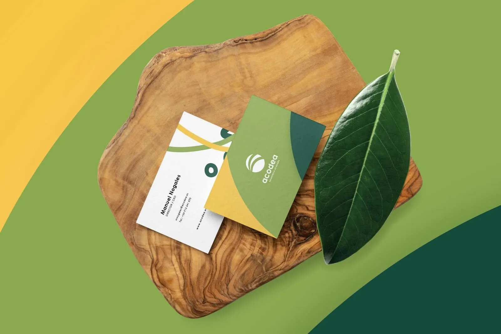 Tarjetas de visita de Acodea sobre madera de olivo
