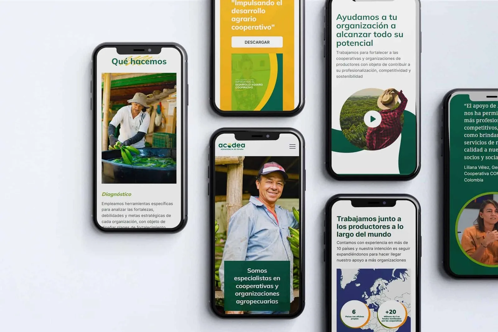 Diseño web Acodea